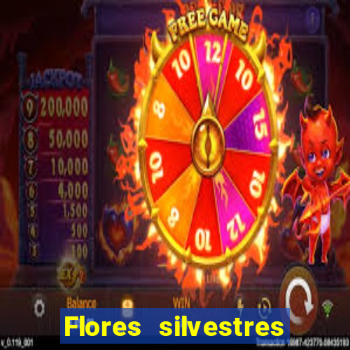 Flores silvestres brasileiras brasileiras flores silvestres nomes e imagens